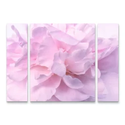 Trademark Fine Art Pink Peony Petals II Canvas Wall Art 3-piece Set