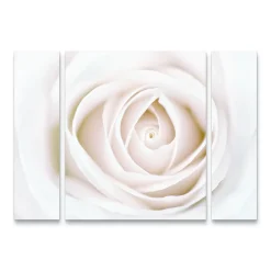 Trademark Fine Art White Rose Canvas Wall Art 3-piece Set