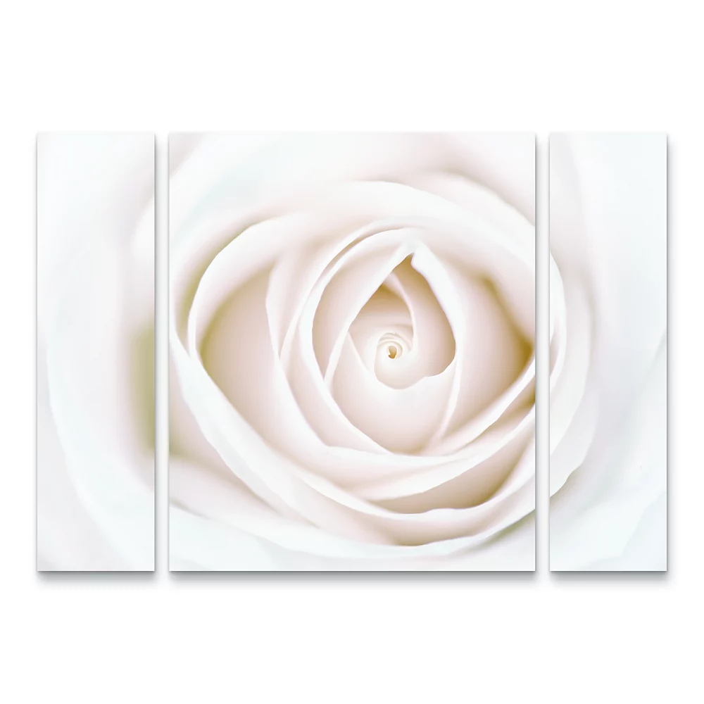 Trademark Fine Art White Rose Canvas Wall Art 3-piece Set 1 Trademark Fine Art White Rose Canvas Wall Art 3-piece Set