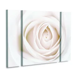 Trademark Fine Art White Rose Canvas Wall Art 3-piece Set 5 Trademark Fine Art White Rose Canvas Wall Art 3-piece Set -Kohl's Sales 5879855 ALT2