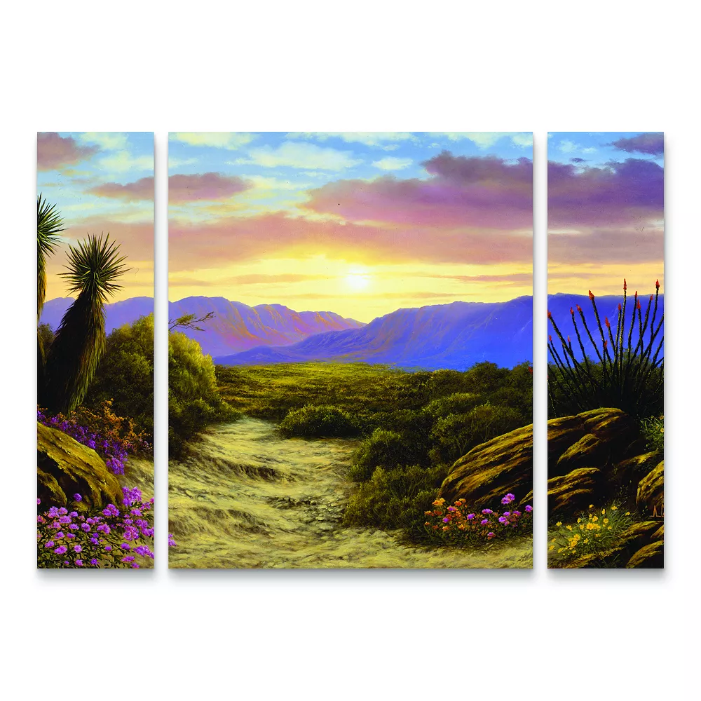 Trademark Fine Art Anthony Casay Desert Scene 3-piece Multi Panel Art Set 1 Trademark Fine Art Anthony Casay Desert Scene 3-piece Multi Panel Art Set