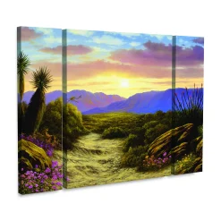 Trademark Fine Art Anthony Casay Desert Scene 3-piece Multi Panel Art Set 5 Trademark Fine Art Anthony Casay Desert Scene 3-piece Multi Panel Art Set -Kohl's Sales 5879858 ALT2