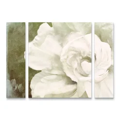 Trademark Fine Art Petals Impasto II Canvas Wall Art 3-piece Set