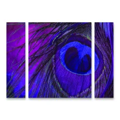 Trademark Fine Art Peacock Candy IV Canvas Wall Art 3-piece Set
