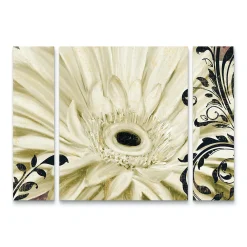 Trademark Fine Art Winter White I Floral Canvas Wall Art 3-piece Set