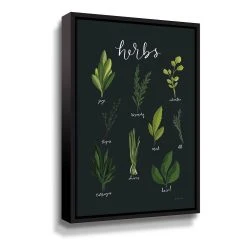 ArtWall Herbs I Framed Wall Art