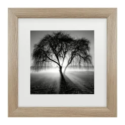 Trademark Fine Art Promise Tree Framed Wall Art