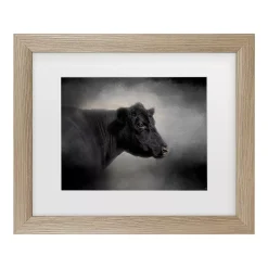 Trademark Fine Art Portrait Of The Black Angus Cow Framed Wall Art