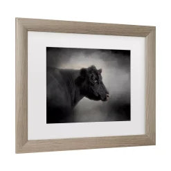 Trademark Fine Art Portrait Of The Black Angus Cow Framed Wall Art -Kohl's Sales 5961759 ALT2