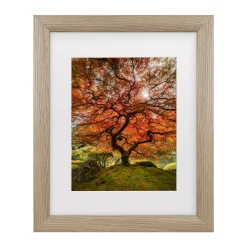 Trademark Fine Art The Tree Vertical Framed Wall Art