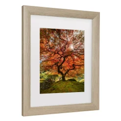 Trademark Fine Art The Tree Vertical Framed Wall Art -Kohl's Sales 5965818 ALT2
