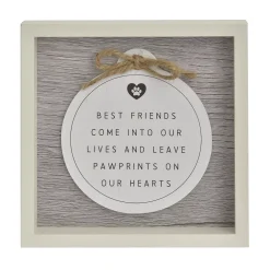 Sonoma Goods For Life® Pet Art Box