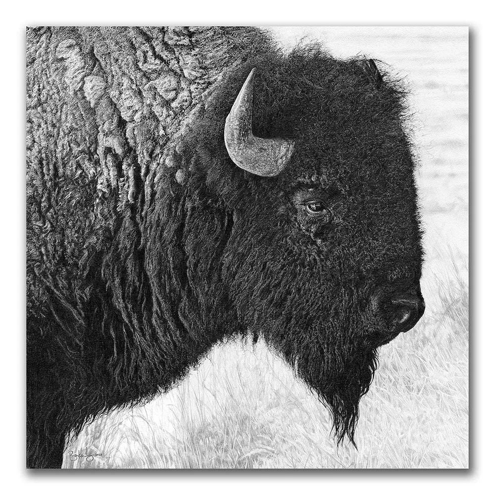 Personal-Prints American Bison Wood Wall Art 1 Personal-Prints American Bison Wood Wall Art