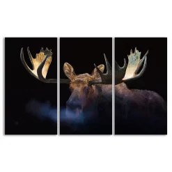 Personal-Prints Winter Moose Triptych Canvas Wall Art 3-piece Set